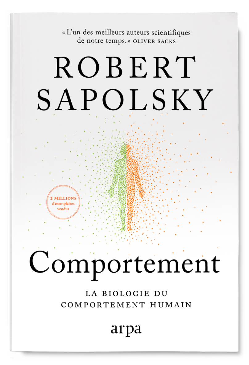 Comportement
