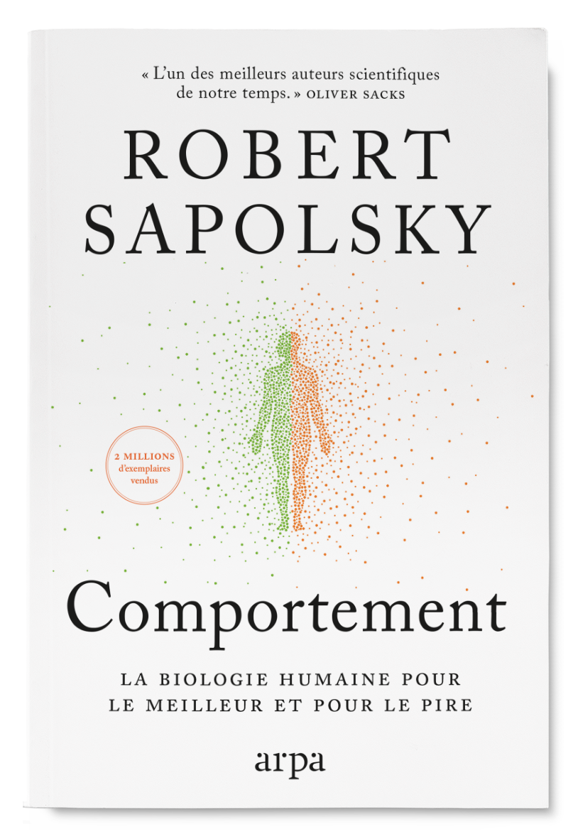 Comportement