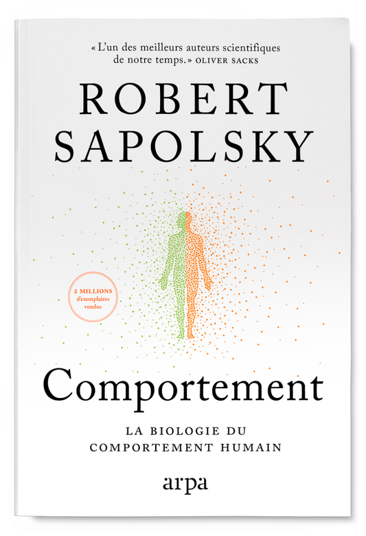 Comportement